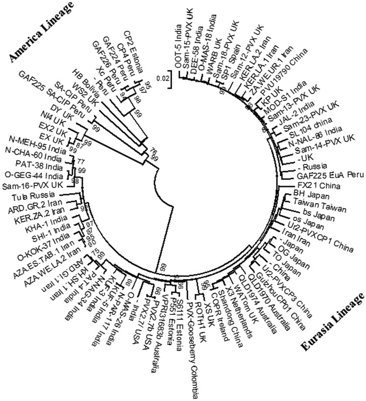 Fig. 1