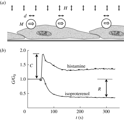 Figure 1.