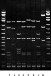 FIG. 2.