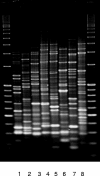 FIG. 1.