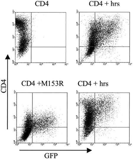 FIG. 10.