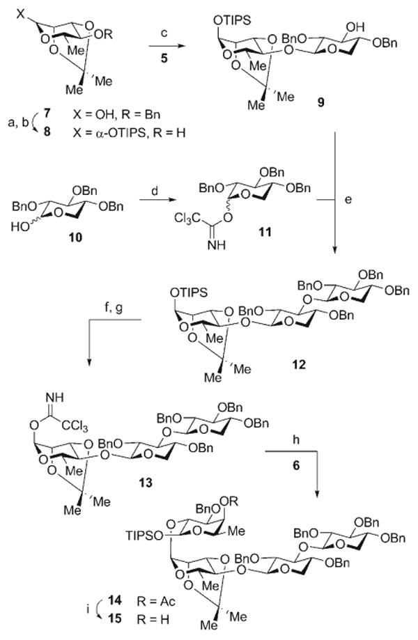 Scheme 3