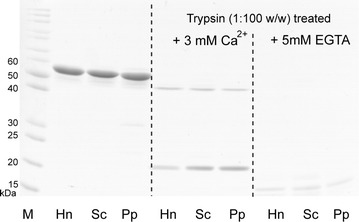 Fig. 5