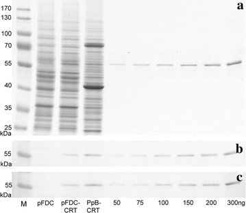 Fig. 10