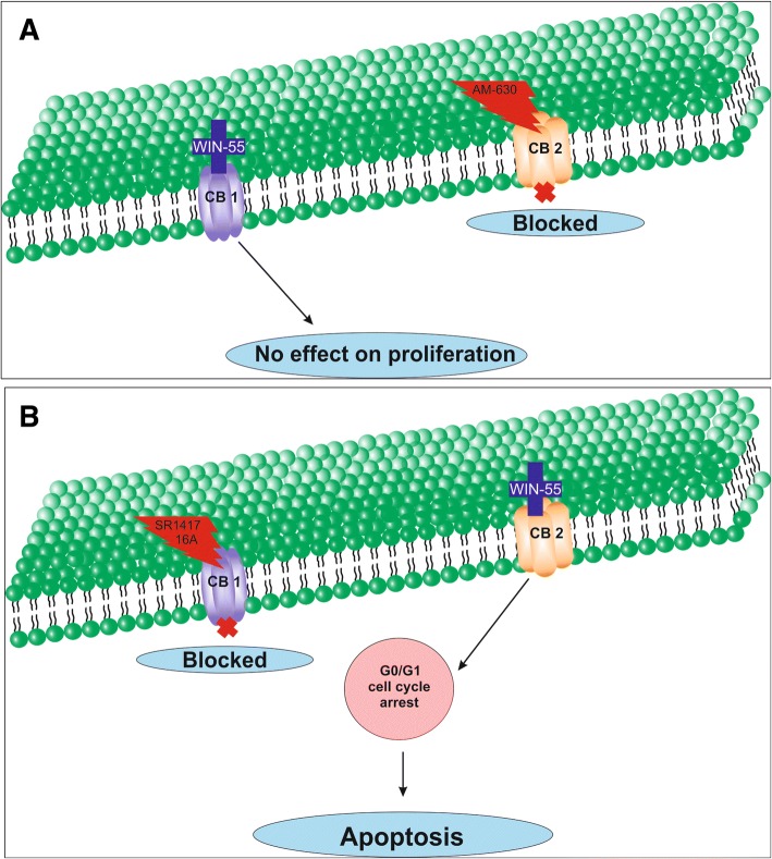 Fig. 11