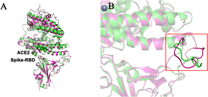 Fig. 1