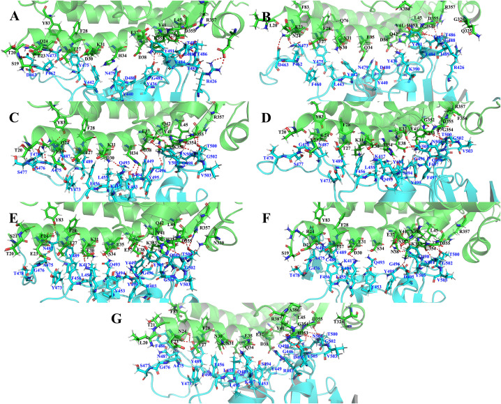 Fig. 3