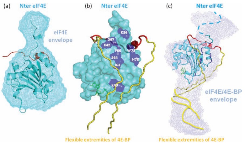 Fig. (4)