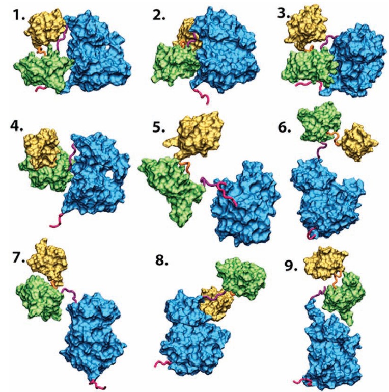 Fig. (8)