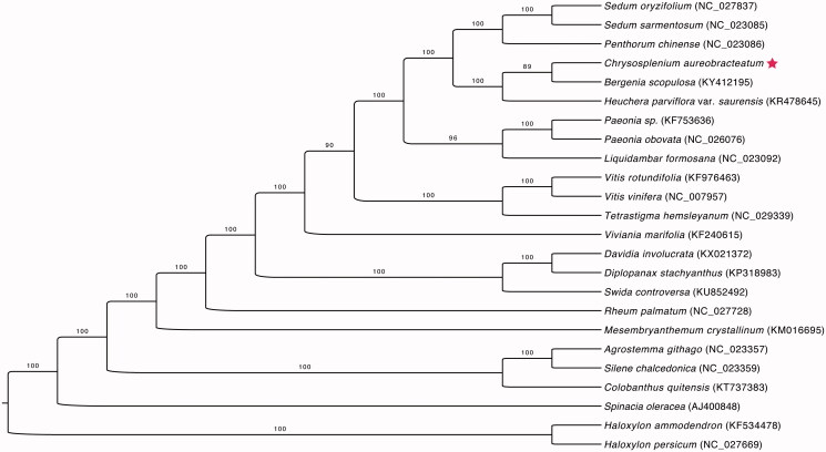 Figure 1.