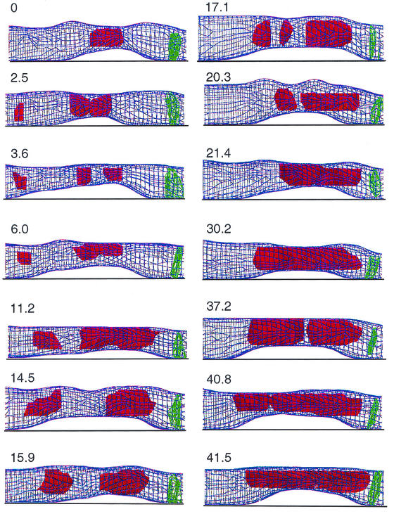 FIG. 10.