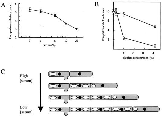 FIG. 11.