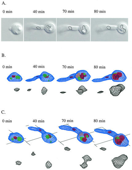 FIG. 9.