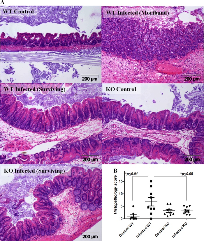 Fig 5