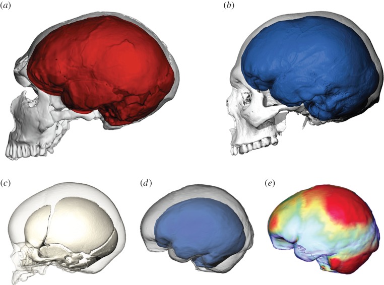 Figure 3.