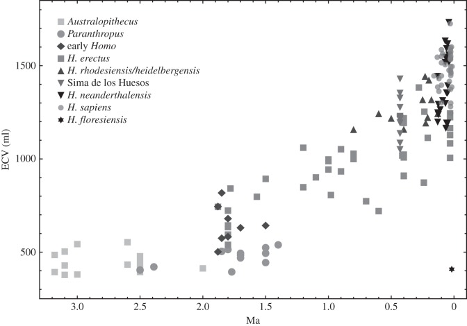 Figure 1.