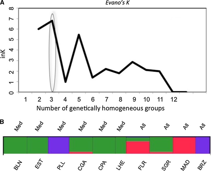 Fig. 2