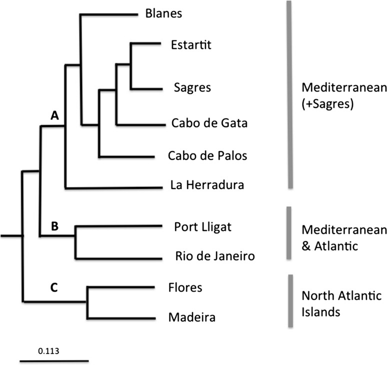 Fig. 3