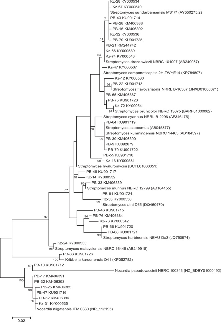 Figure 2