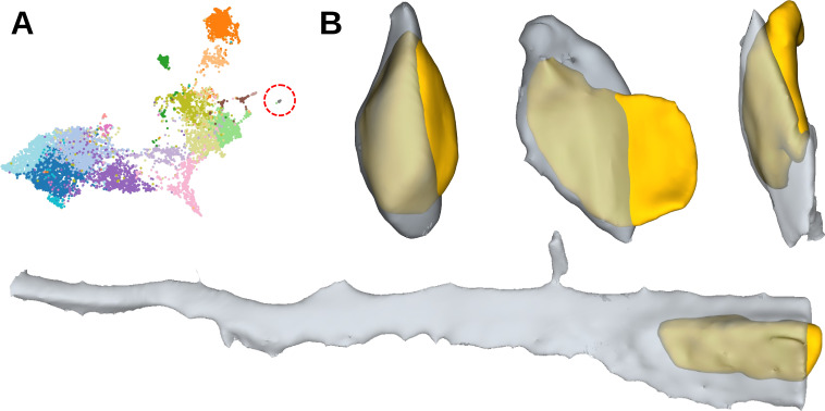 Figure 3—figure supplement 1.