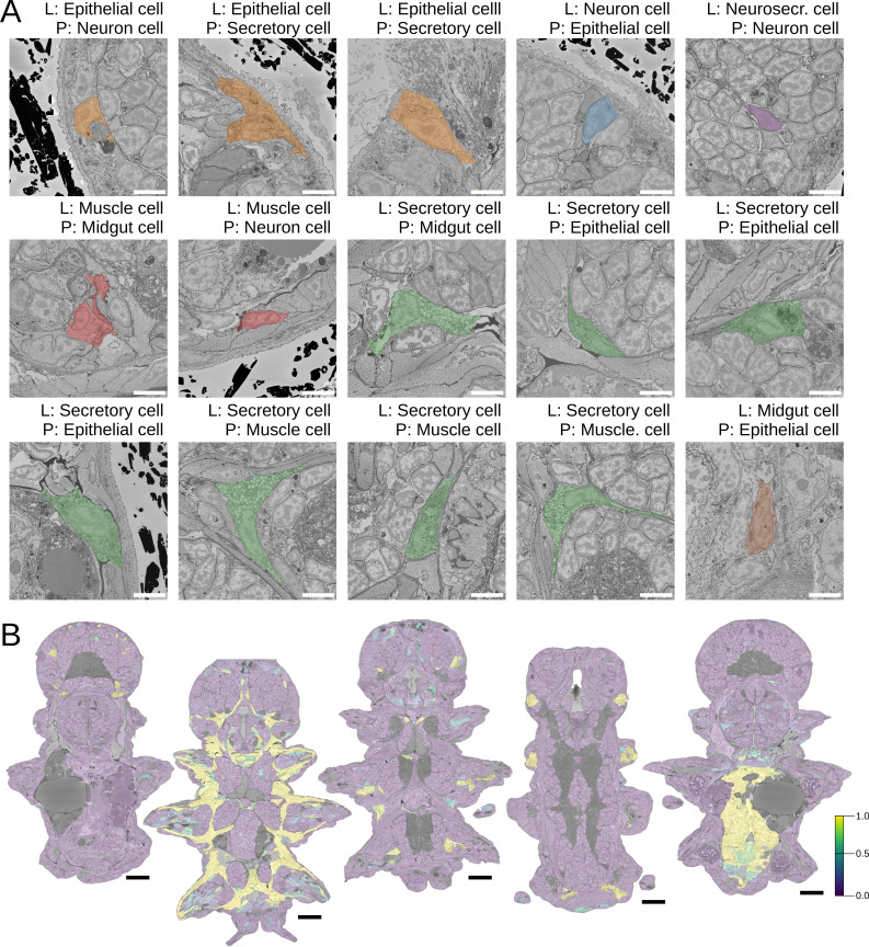 Figure 2—figure supplement 1.