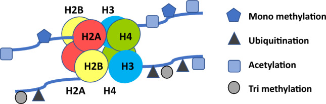 Fig. 2
