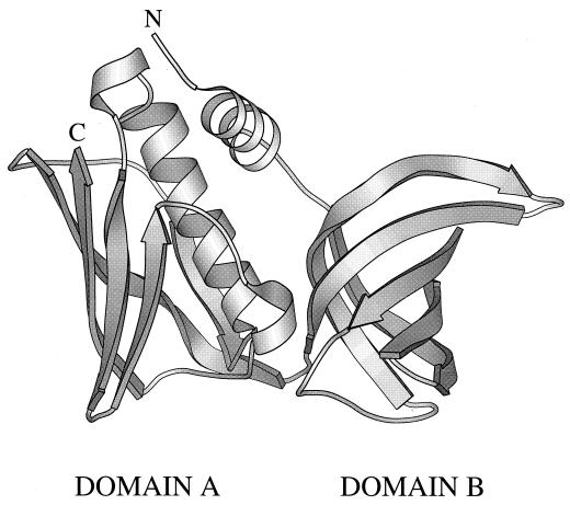 FIG. 1