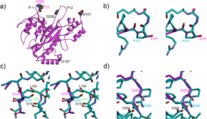 Fig. 6