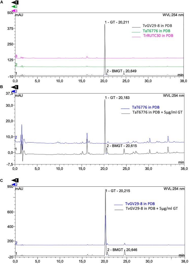 FIGURE 4