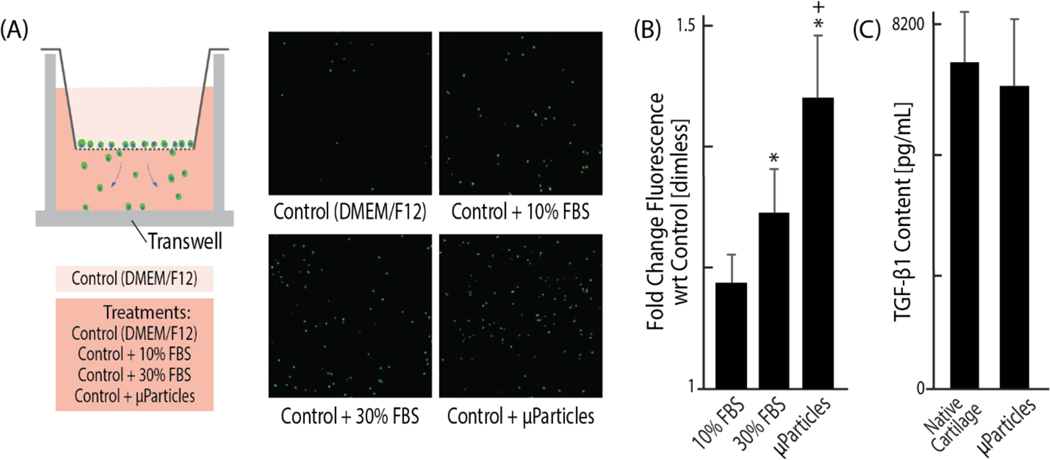 Figure 4: