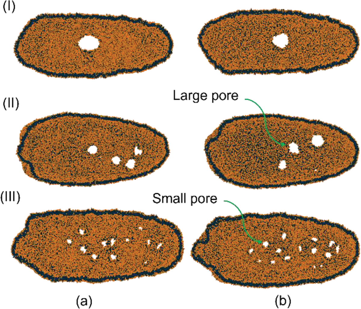 Figure 5: