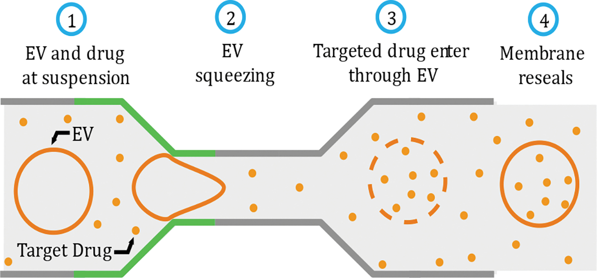 Figure 1: