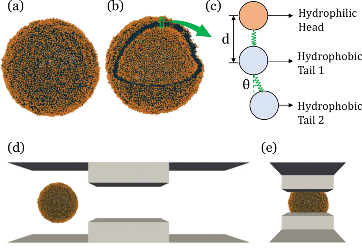 Figure 2: