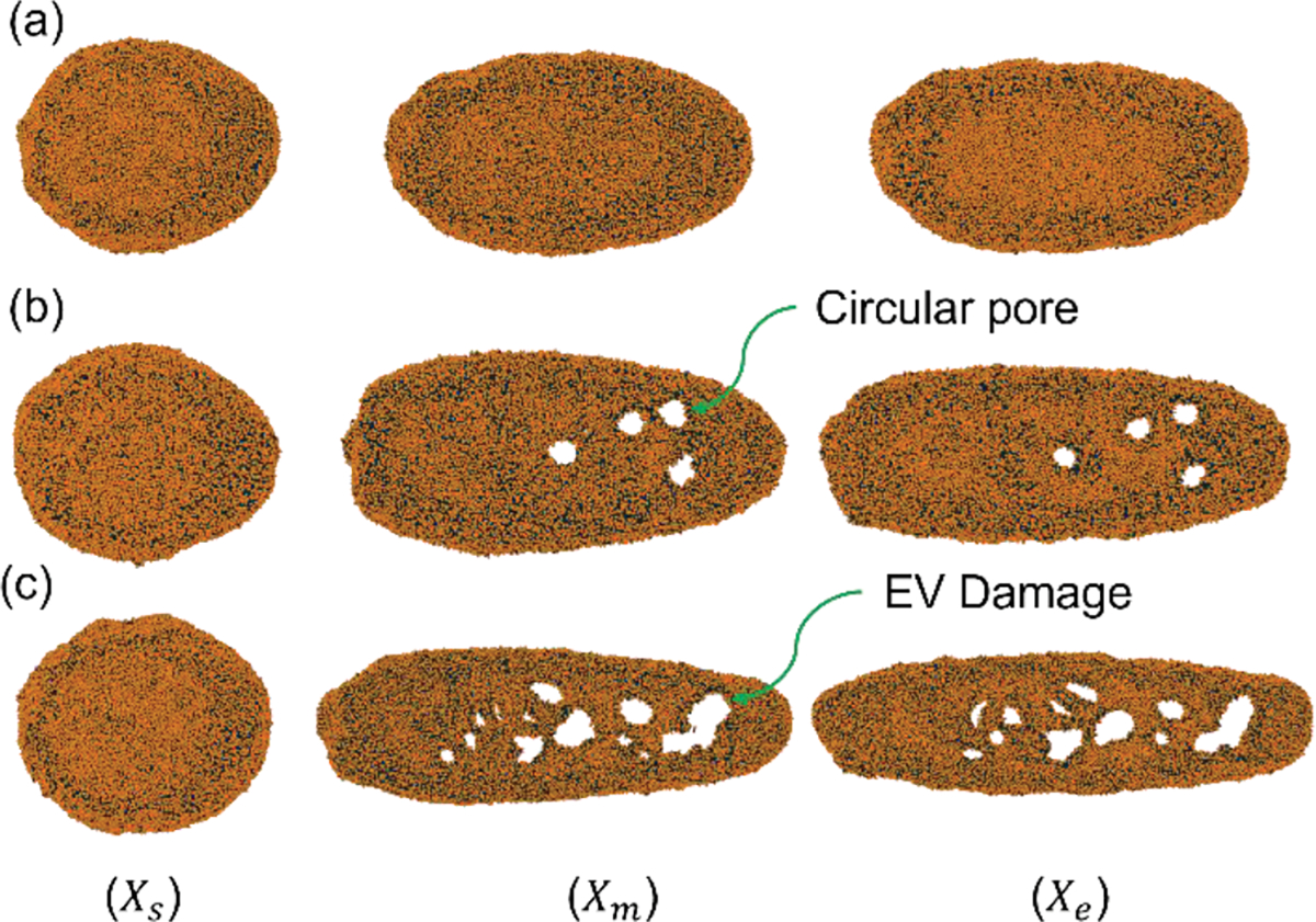 Figure 7: