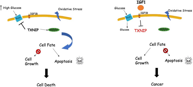 Figure 2