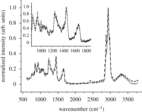 Figure 5.