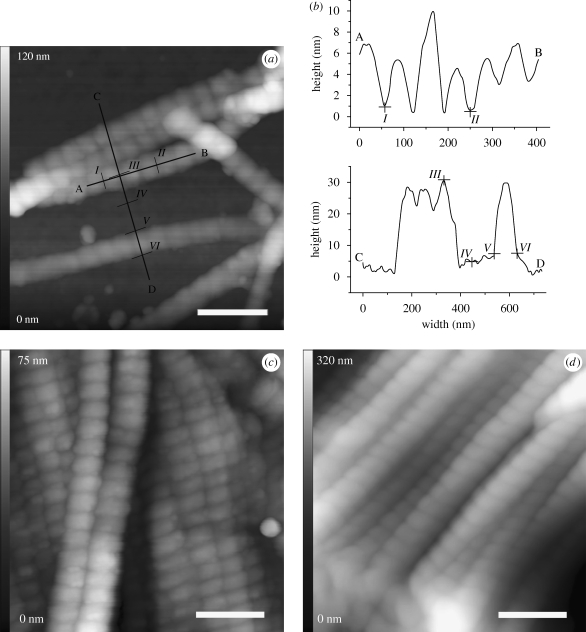 Figure 3.