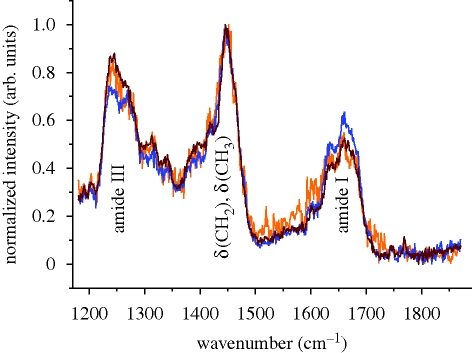 Figure 4.