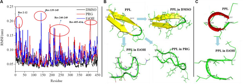 FIGURE 3