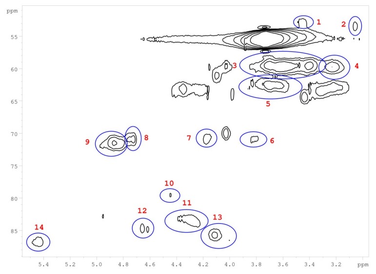 Figure 13