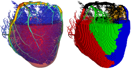 Fig. 1