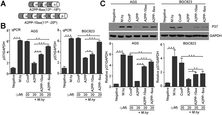 Fig 7