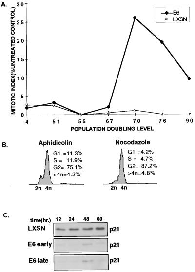 FIG. 6