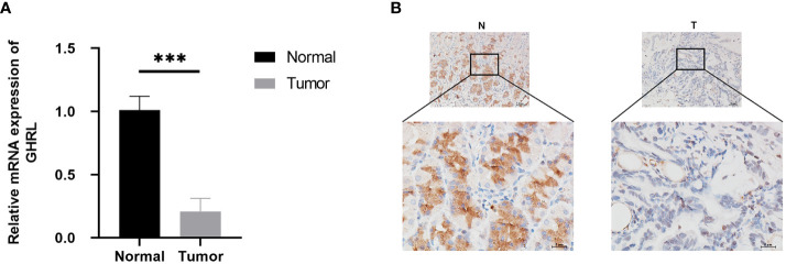 Figure 9