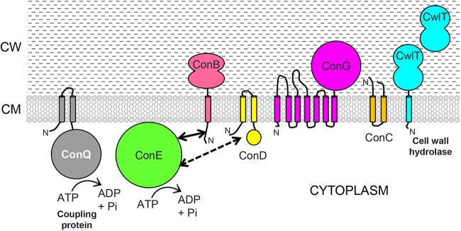 FIG 6