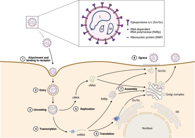 FIGURE 3: