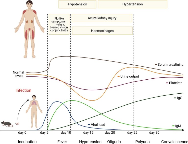 FIGURE 5: