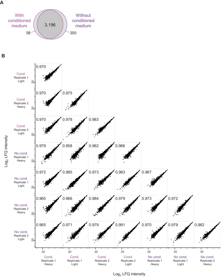 Figure 6—figure supplement 3.