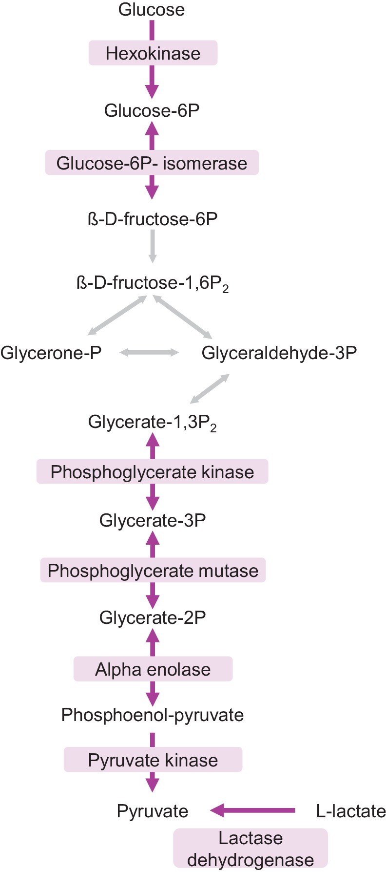 Figure 6—figure supplement 2.