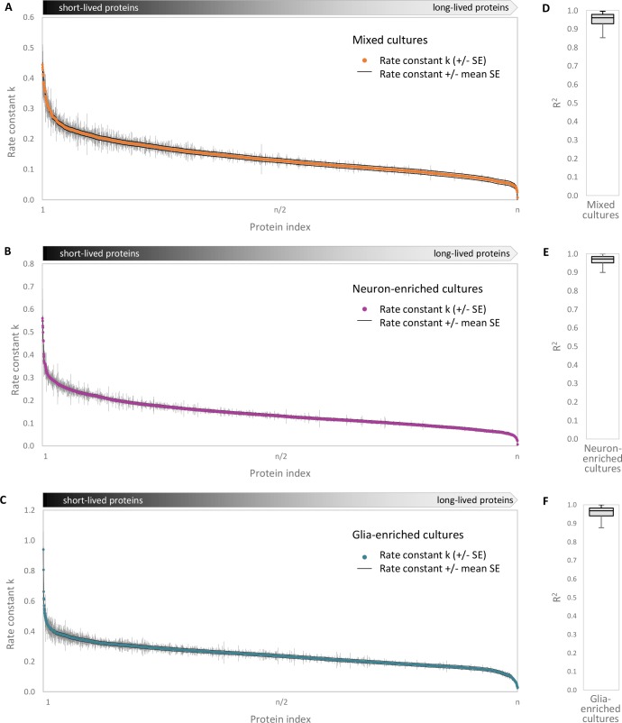 Figure 1—figure supplement 2.